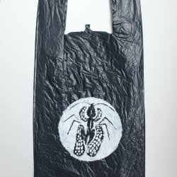  Netzwanze, schwarze Plastiktüte mit Stencil, 43x27cm, 2015